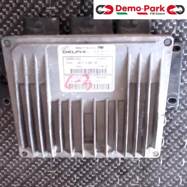 CENTRALINA MOTORE CitroЁn C3 - 1.6 HDI DELPHI G6B63A02   PSA 96513 991 80    80929R 1