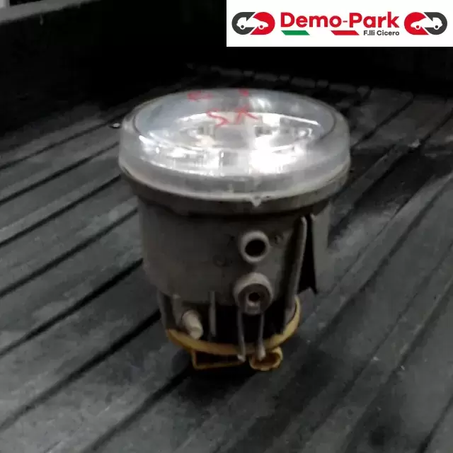 FENDINEBBIA SX CitroЁn C3  1