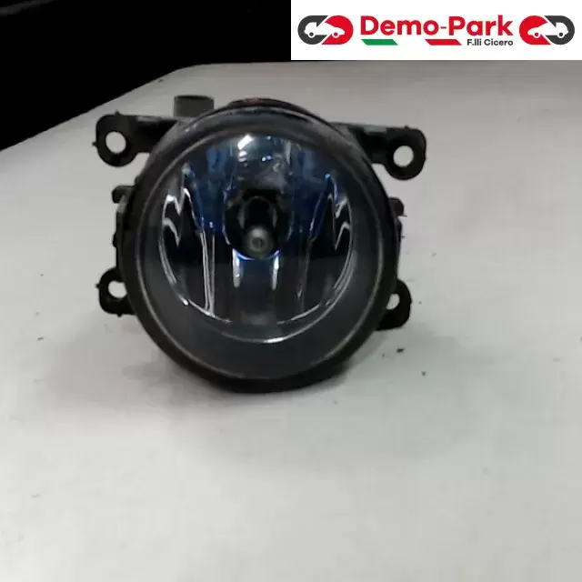 FENDINEBBIA SX Renault MEGANE  0