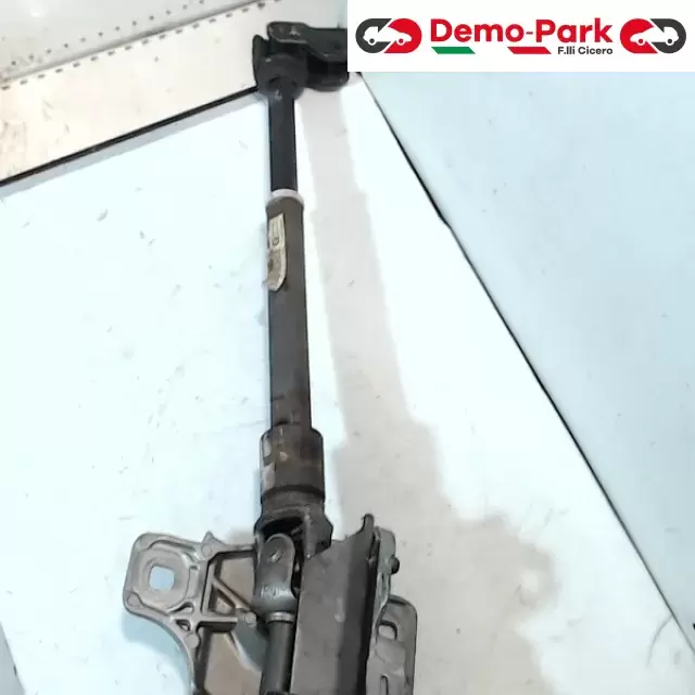 PIANTONE STERZO CitroЁn C4 1.6 HDI 10573.20 3