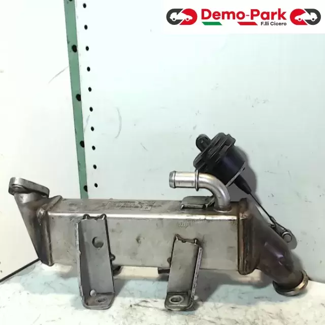 VALVOLA EGR Nissan QASHQAI 2.0 DCI 8200 719 993--C 1