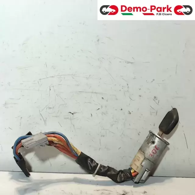 BLOCCASTERZO  Peugeot 306  0