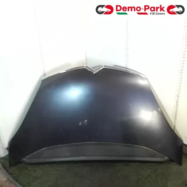 COFANO ANTERIORE CitroЁn C4 GRAND PICASSO 2.0 HDI  0