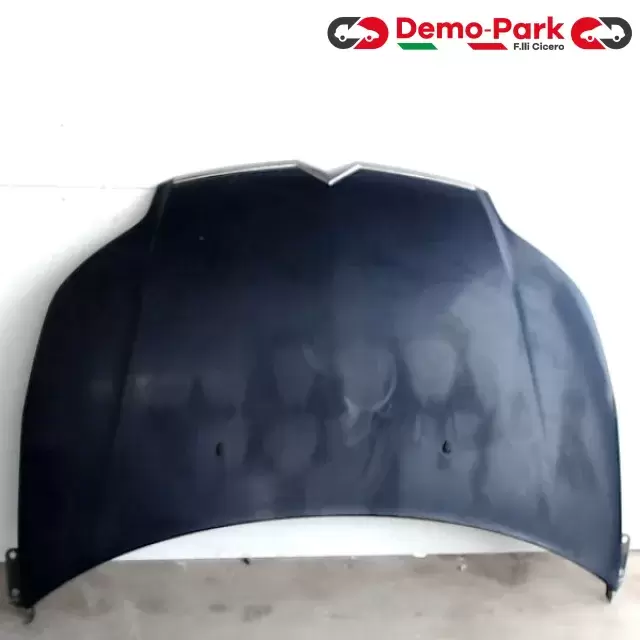 COFANO ANT. CITROEN C4 CitroЁn C4  0