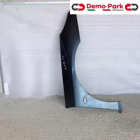 PARAFANGO DX Peugeot 407  0