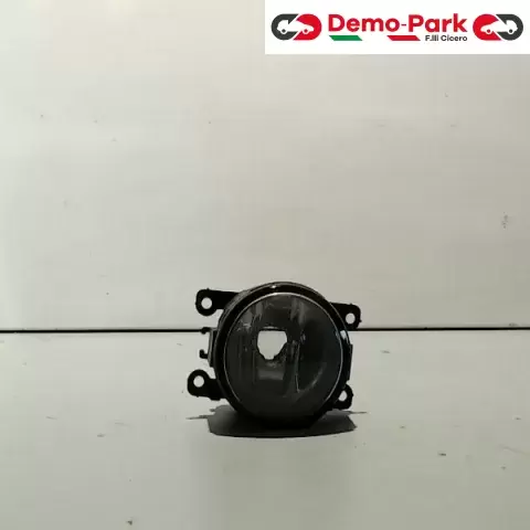 FARETTO FENDINEBBIA DX Peugeot 307  0