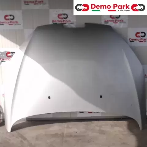 COFANO ANTERIORE Peugeot 407  0